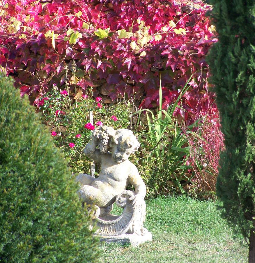 La Charmeraie Bed & Breakfast Saint-Cirq  Luaran gambar